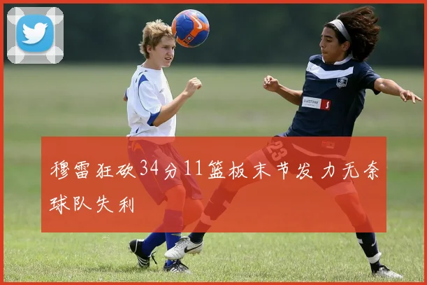 穆雷狂砍34分11篮板末节发力无奈球队失利